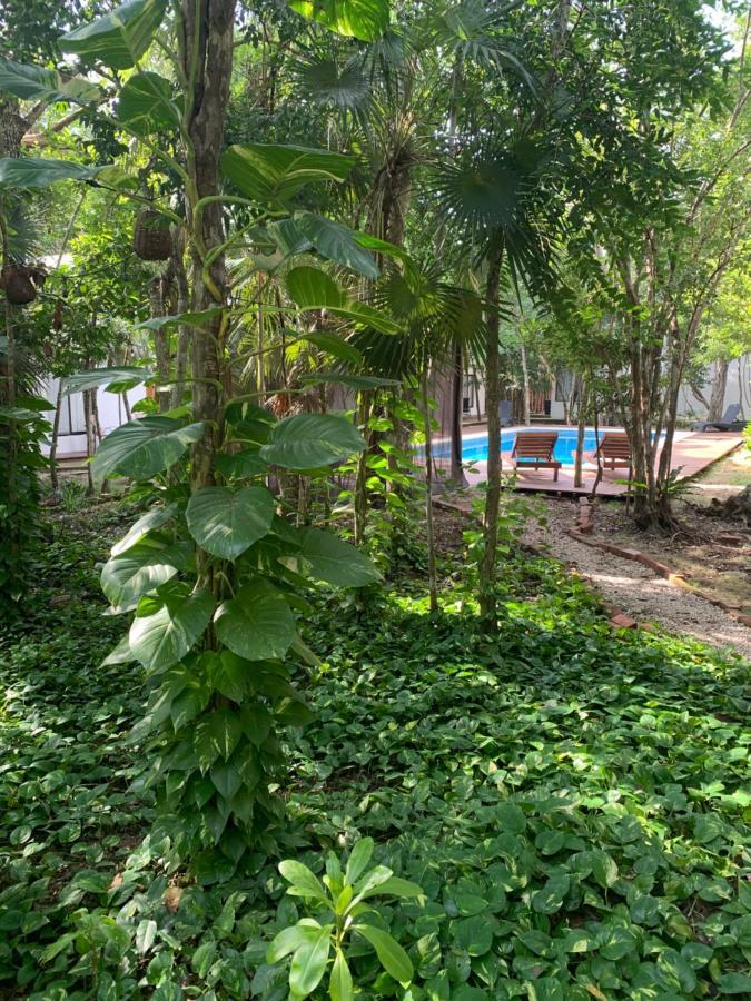 Ecovergel Hotel Riviera Maya Chemuyil エクステリア 写真