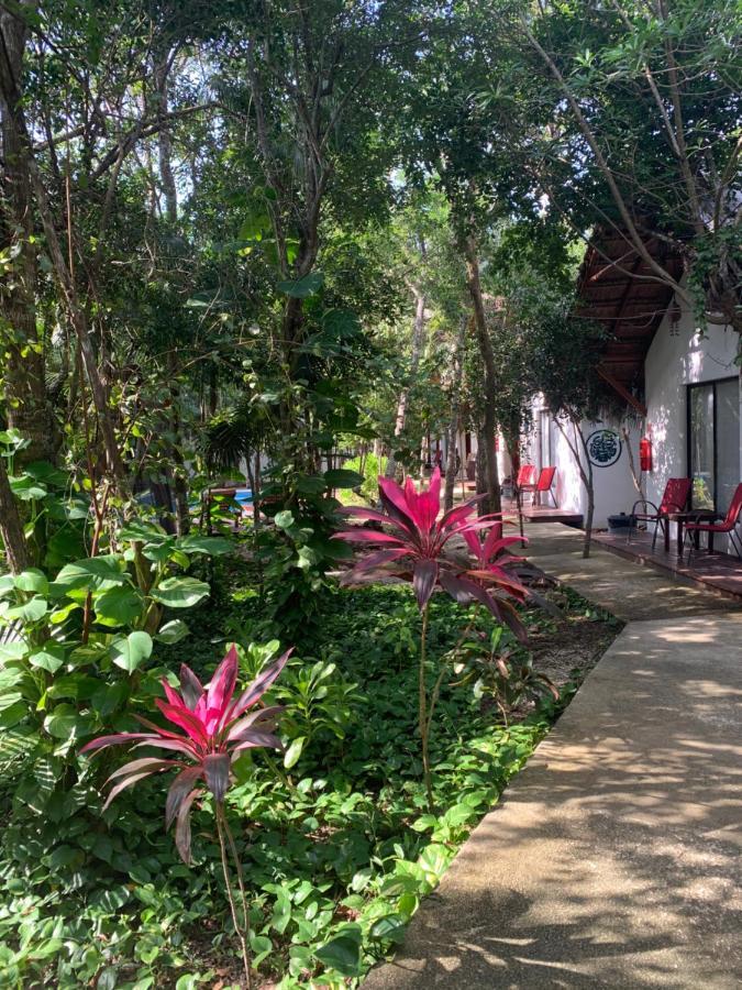 Ecovergel Hotel Riviera Maya Chemuyil エクステリア 写真